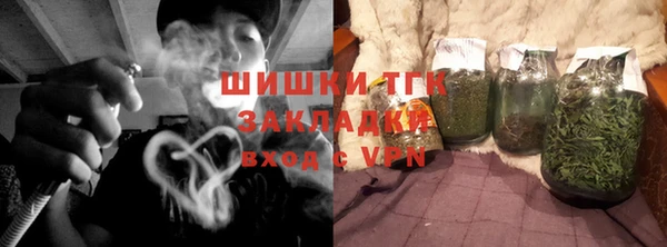 ECSTASY Бородино