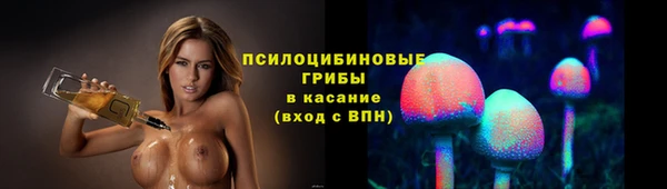ECSTASY Бородино