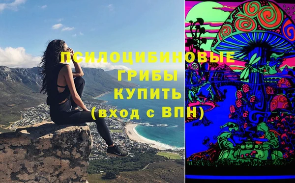 ECSTASY Бородино