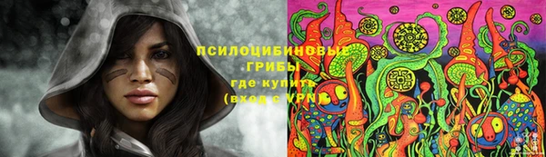 ECSTASY Бородино