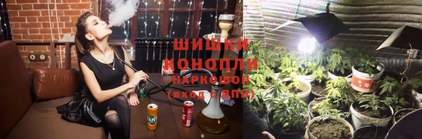 ECSTASY Бородино