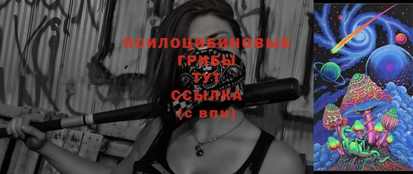спиды Бронницы
