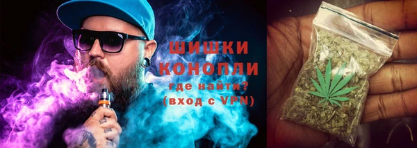 ECSTASY Бородино